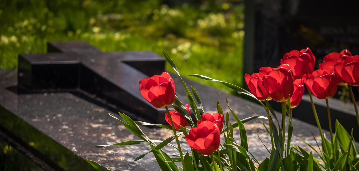 Rotblühende Tulpen umrahmen ein schwarzes Grabmal mit einem Kreuz auf einem Friedhof.